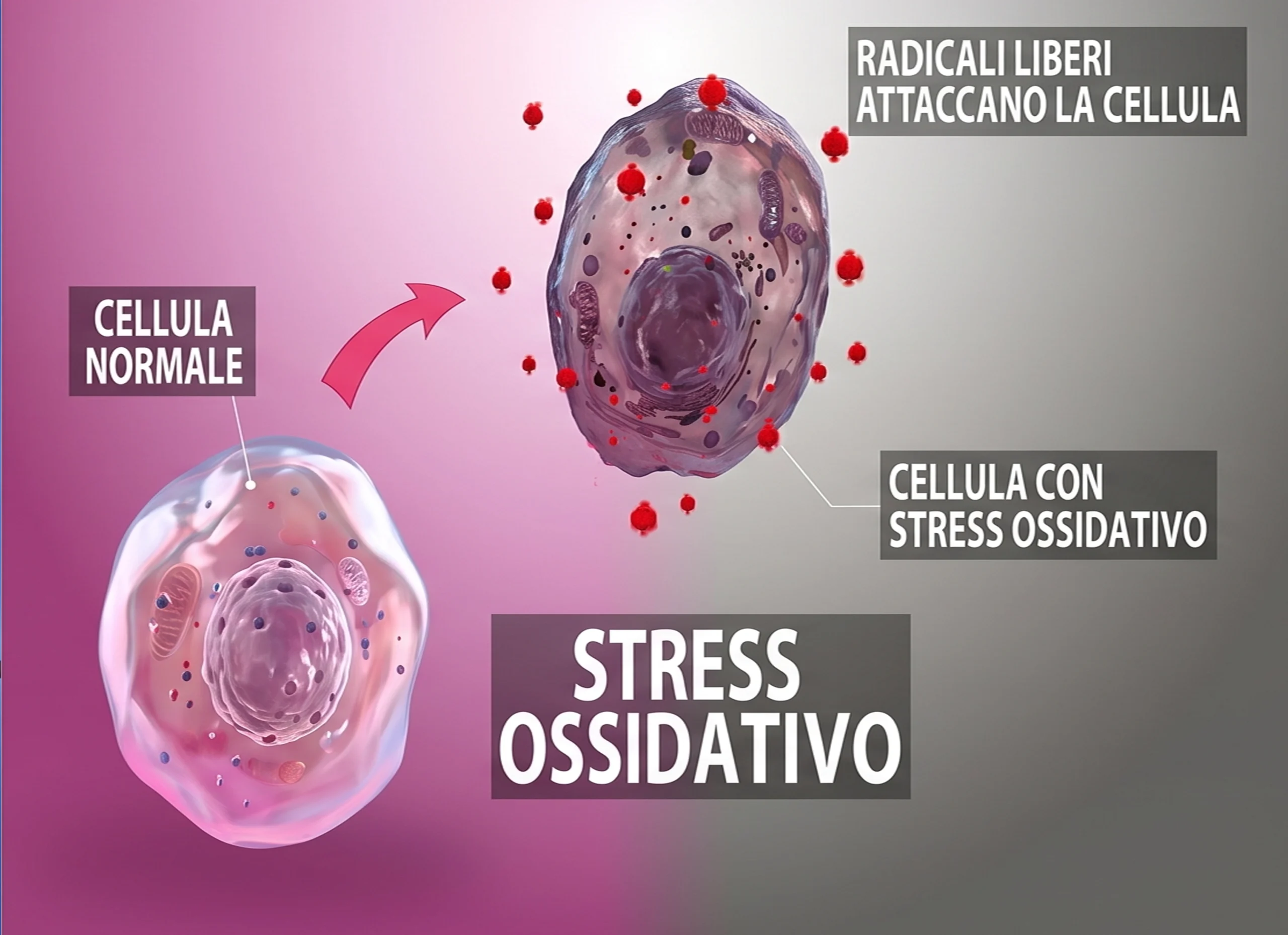 Ozono-terapia-2 Ozonoterapia Antiossidante